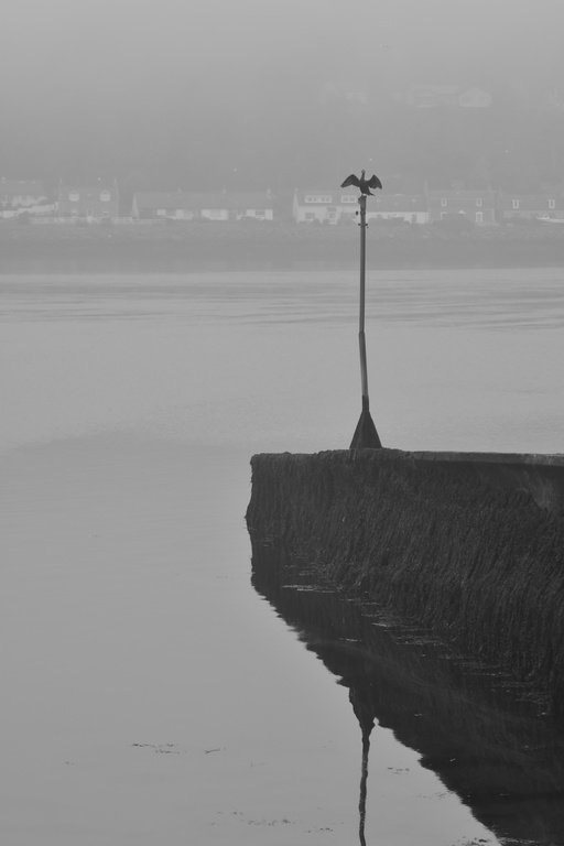 2018-11 Scotland/Inverness/DSC_7628.JPG